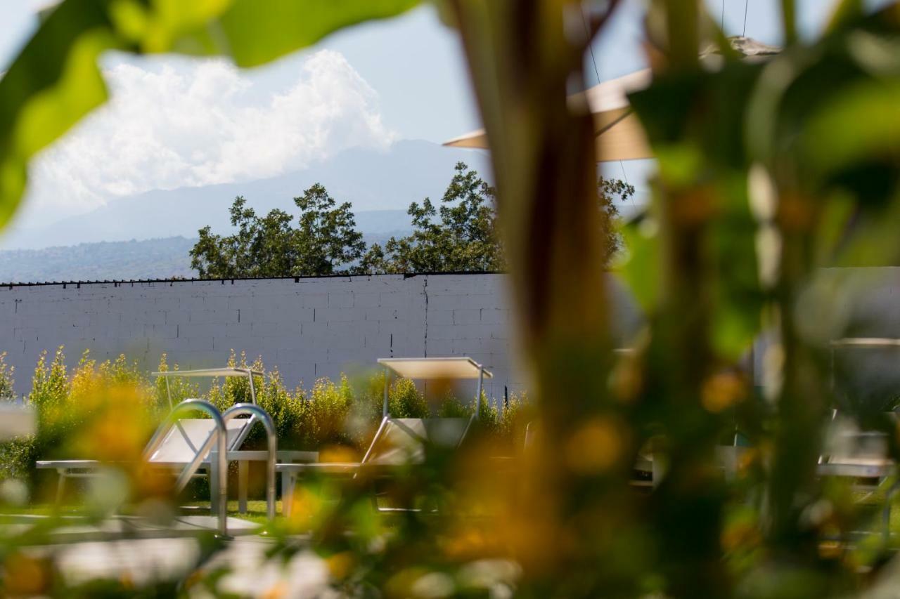 Veda Elegant Guest house 3*